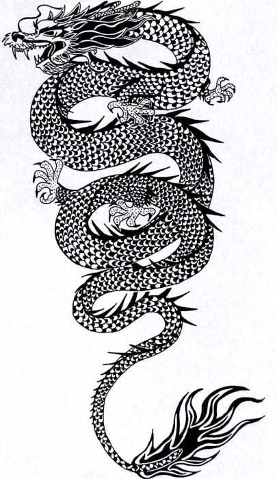 Japanese Dragon Tattoos A third tattoo designs of this freedom 