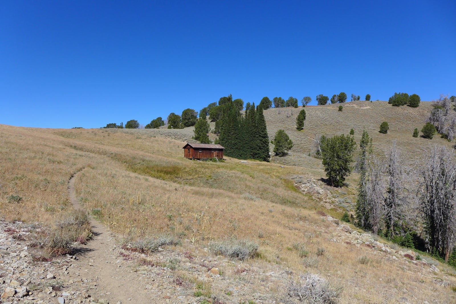 Hill Junkie Pioneer Cabin