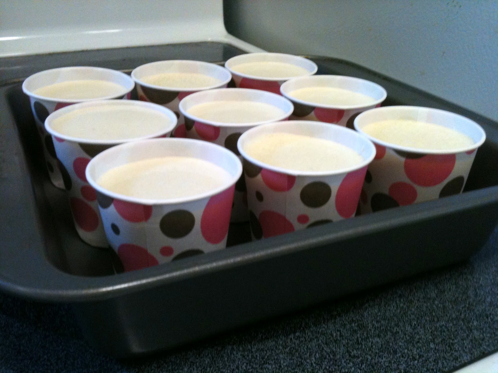 Holly Goes Lightly Homemade Frosty Paws