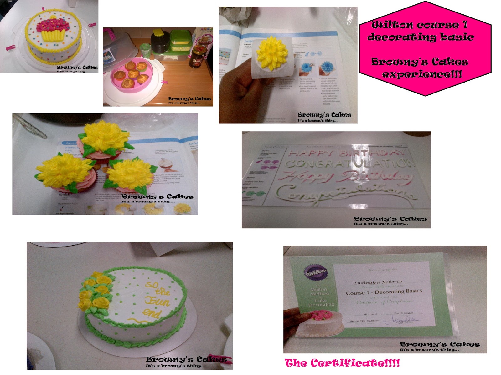 Wilton Course 1 Decorating basic certificate Browny’s Cakes
