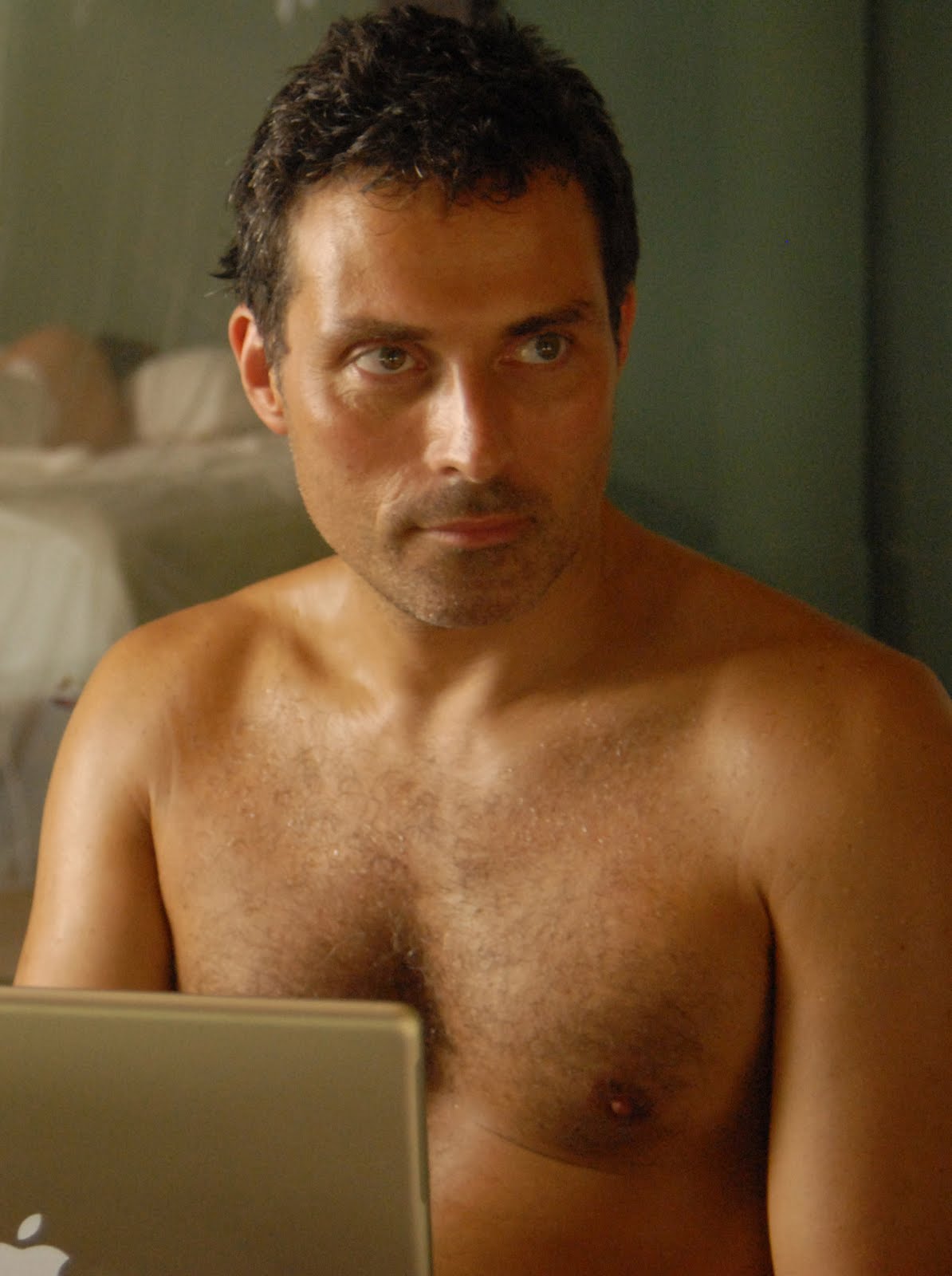 Sean Palmer Shirtless