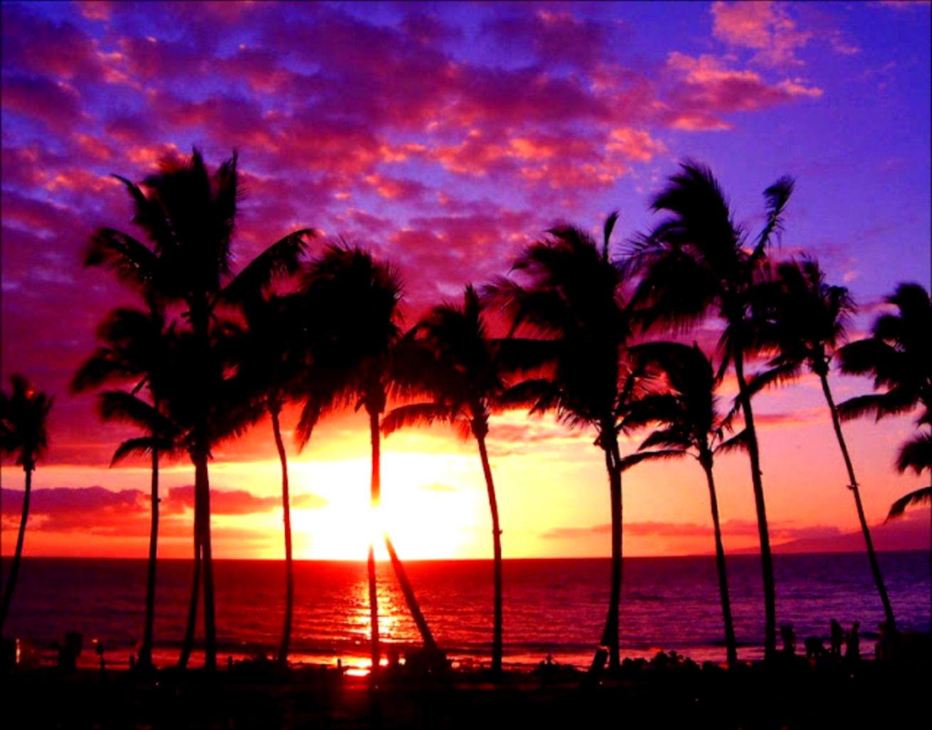Purple Sunset Wallpapers Wallpaper Cave Purple Sunset Wallpapers Wallpaper Cave