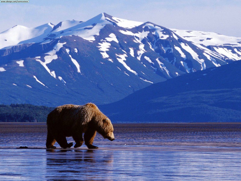 Красота Аляски (22 фото)