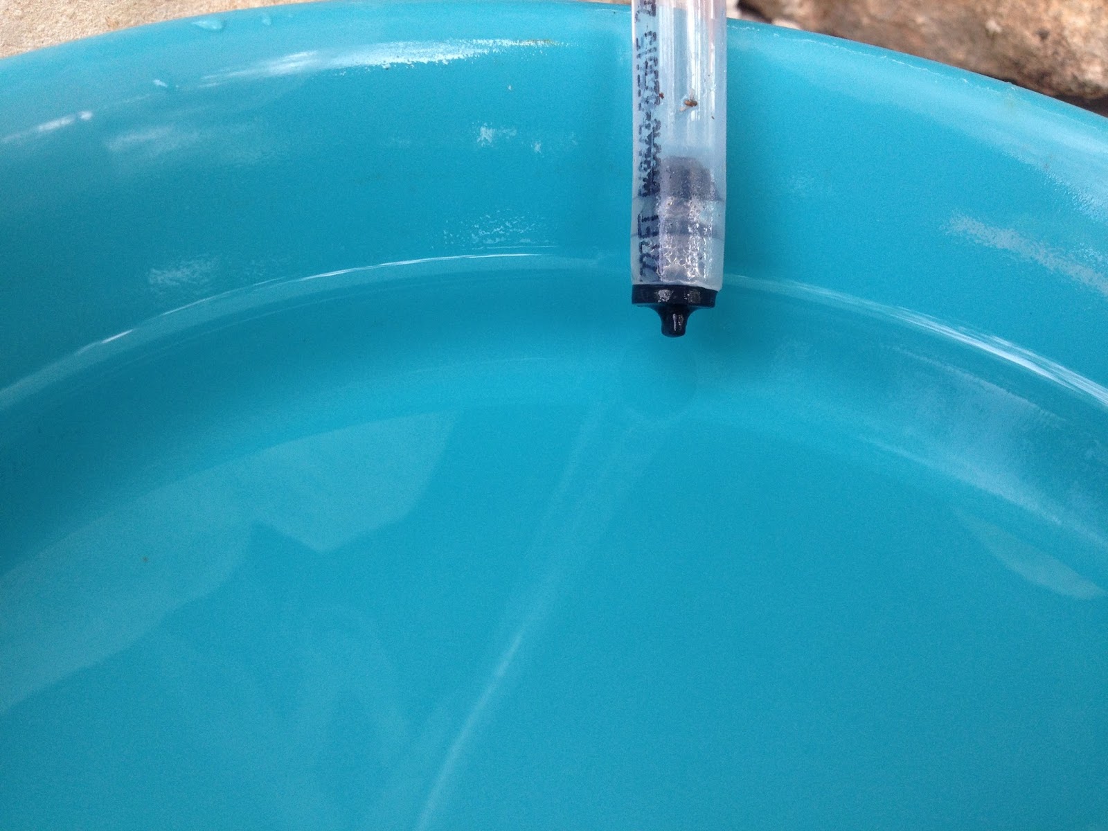 The Journey of a Lifetime Self watering bowl for your favorite