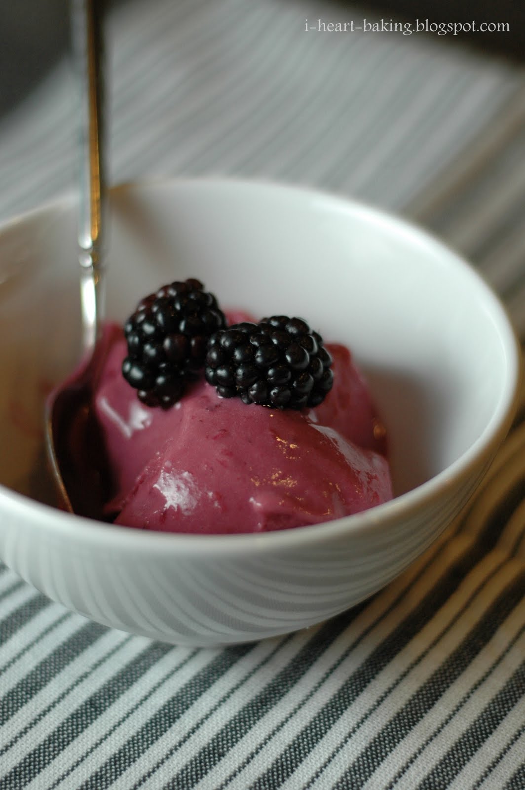 i heart baking! fresh blackberry frozen yogurt