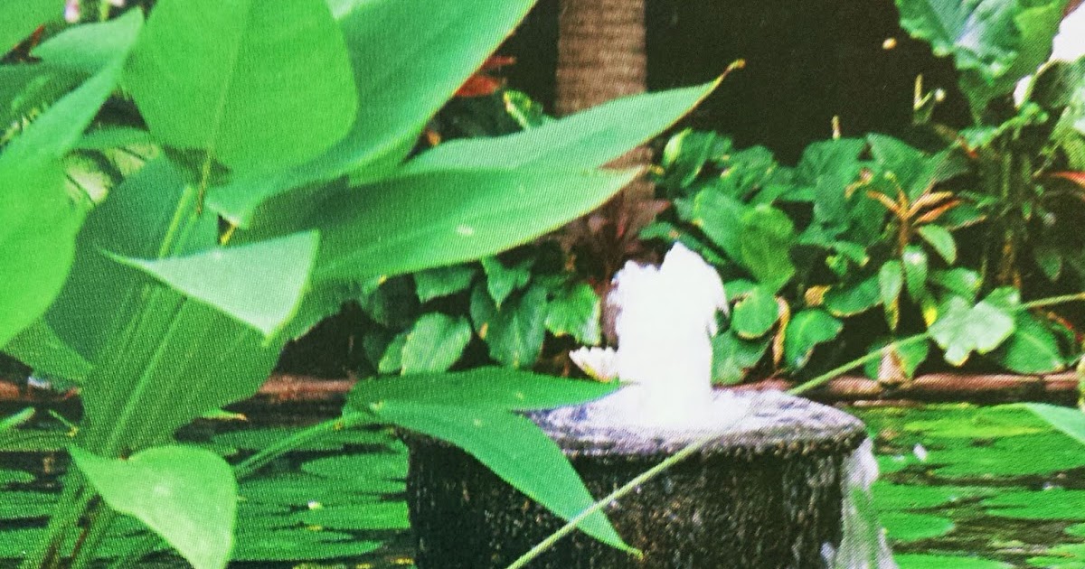 Seven Tips for Landscape Design for Beginners - Idea 5 | Garden