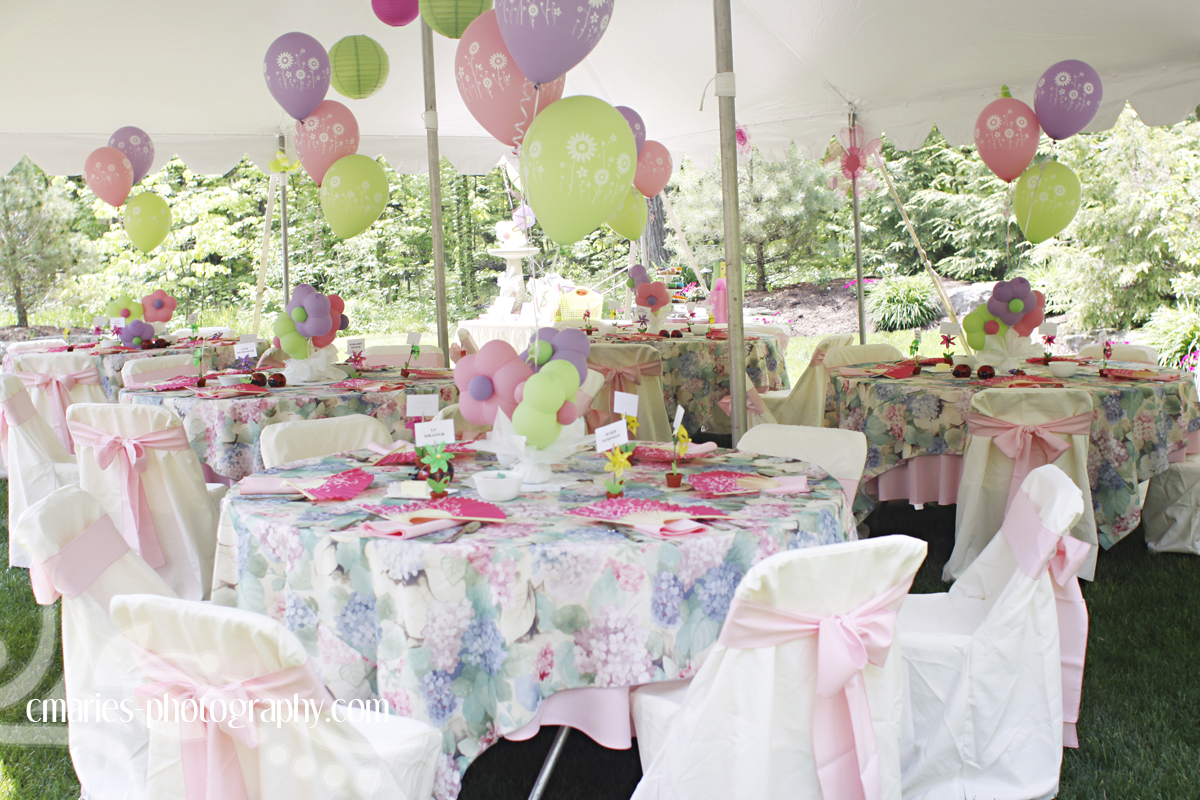 C Marie S Photography Blog Decorations Plus Findlay Party