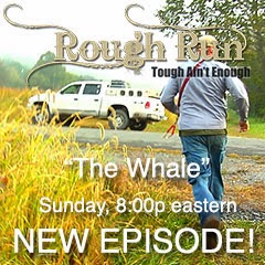 "The Whale" Coming Sunday
