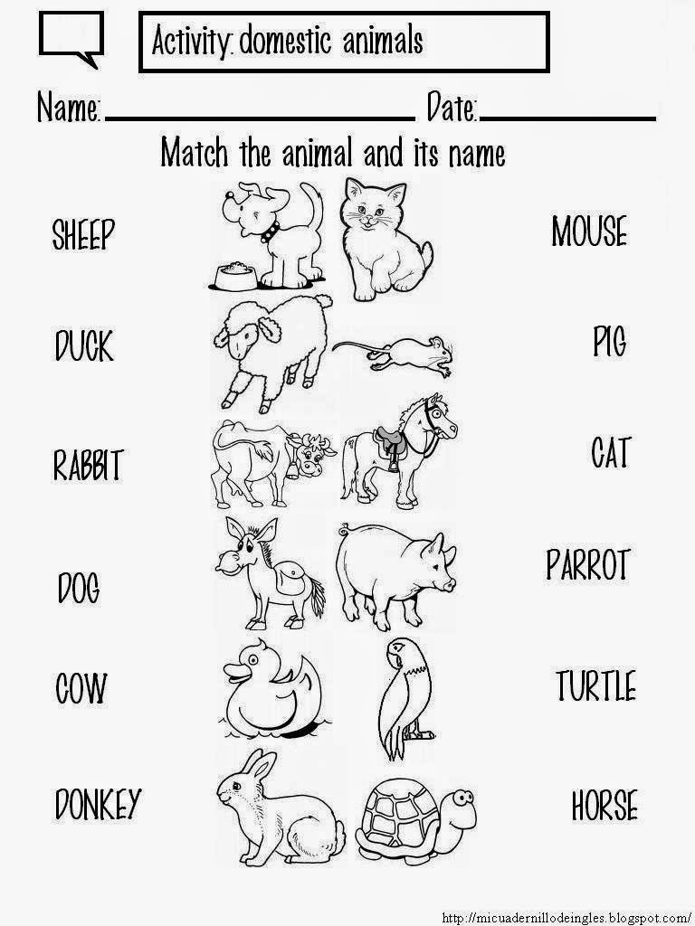 Match the animal and its name