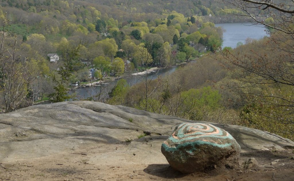 In the Field b Mountain Park Wildflowers