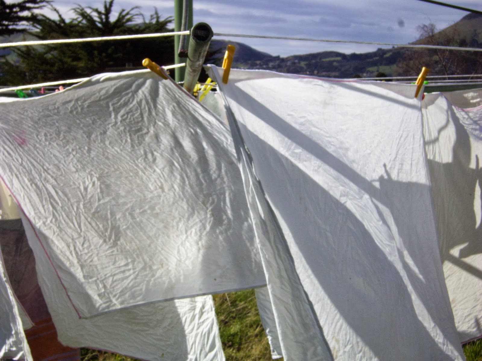 Cotton flat nappies Nappyneedz