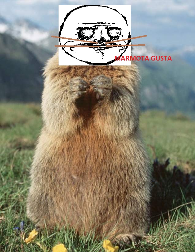 la marmota