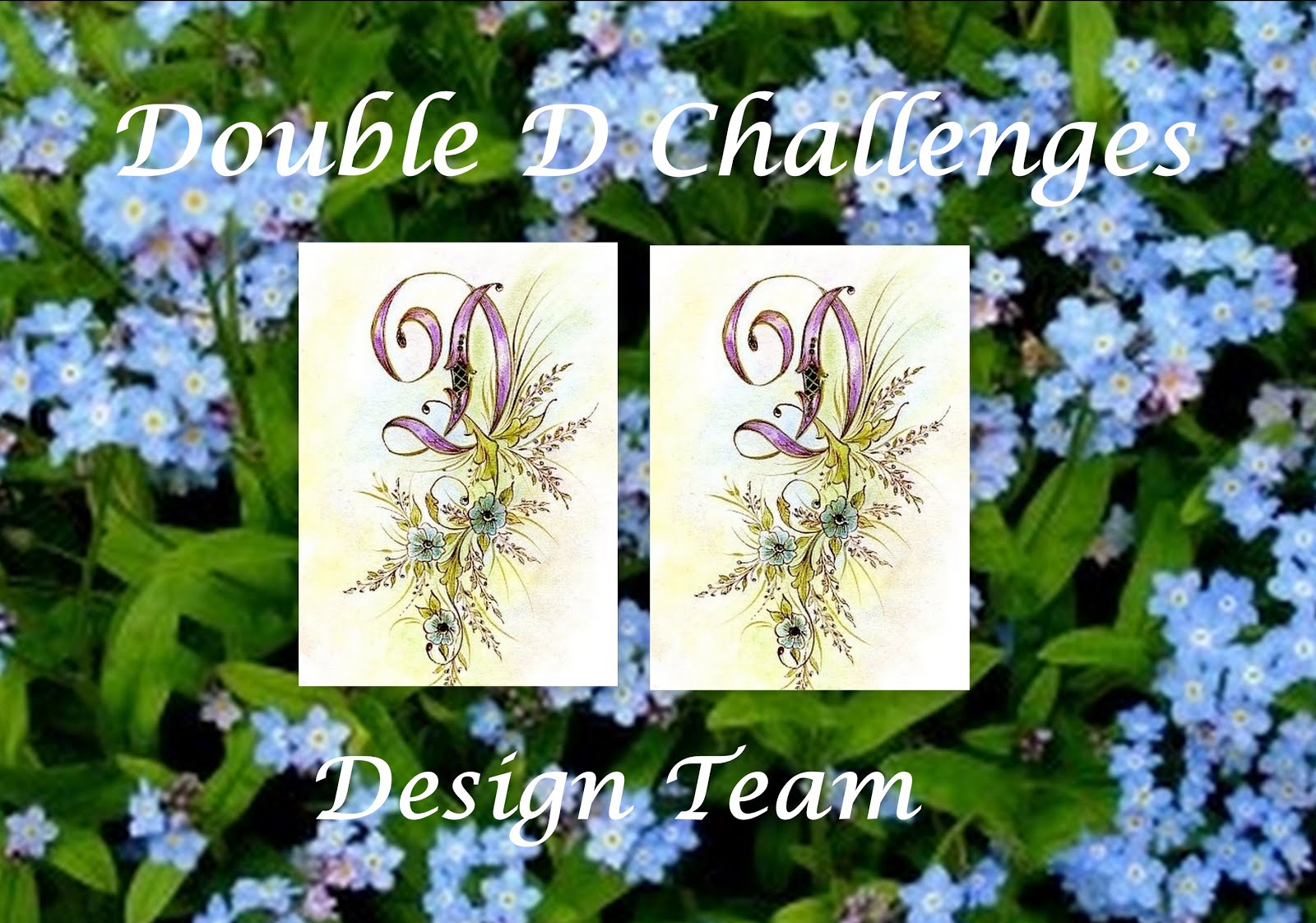 Double D Challenges