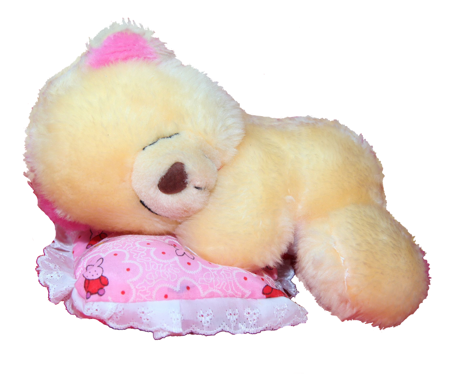 Teddy bear freebies