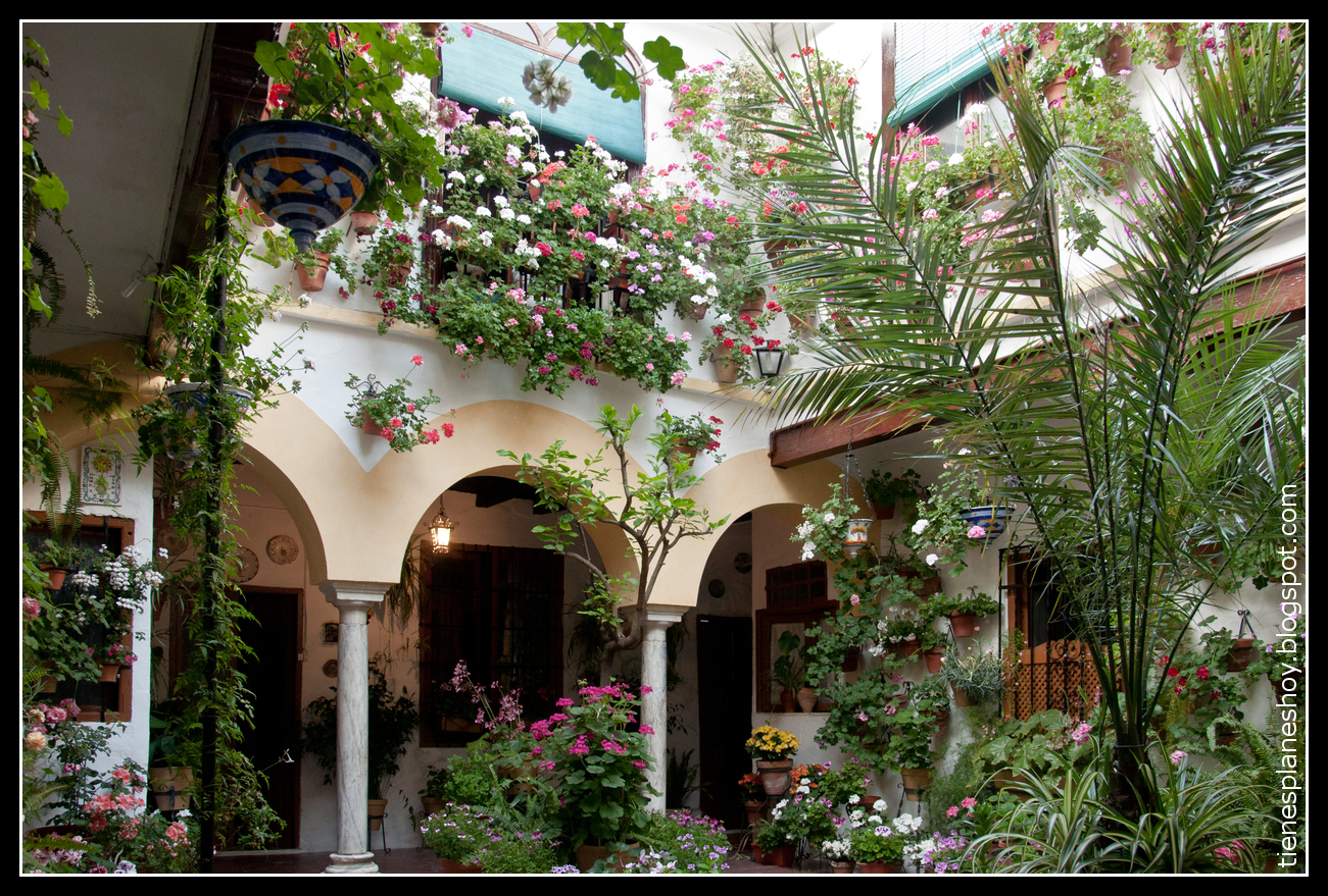 Feria de los Patios de Córdoba ¿Tienes planes hoy?