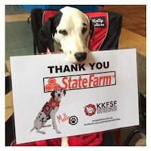 Thank you the Keep Kids Fire Safe Foundation's Corporate Sponsor, State Farm!