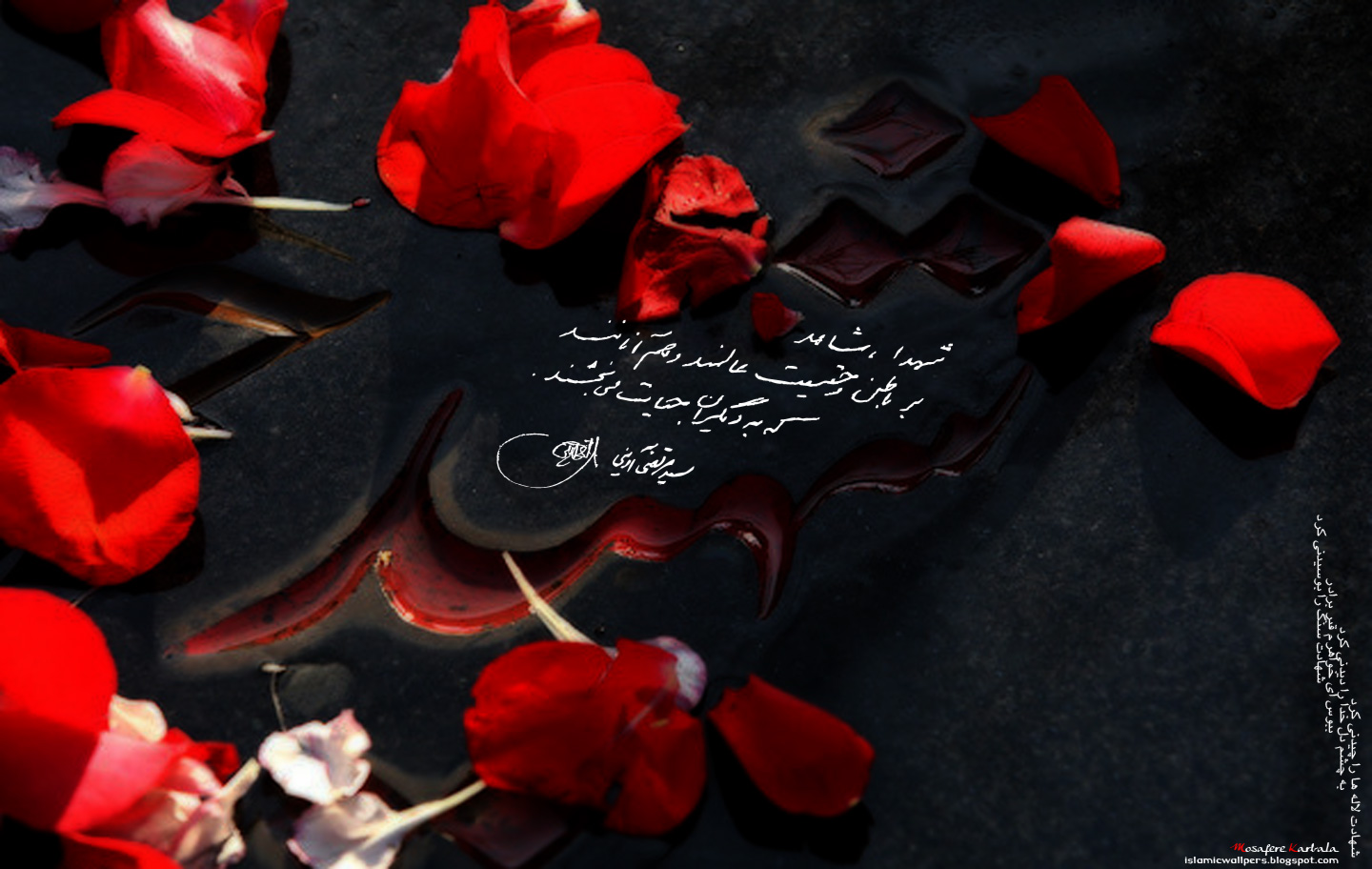 http://3.bp.blogspot.com/-tmW7rmBRXfs/TrcypAPCNsI/AAAAAAAAEkM/Zt0Hr03MyYs/s1600/martyr_by_islamicwallpers.jpg