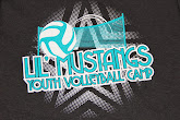 Lil' Mustangs Youth Volleyball Camp