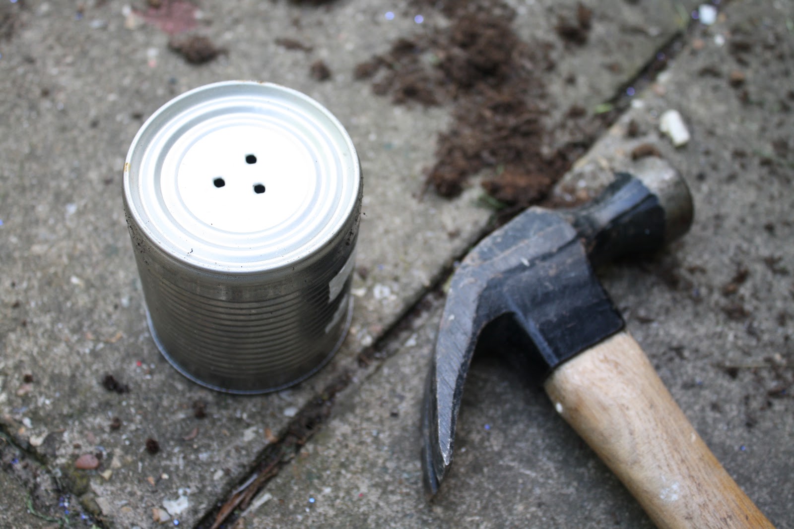 sewhungryhippie Grow a Garden in Tin Cans