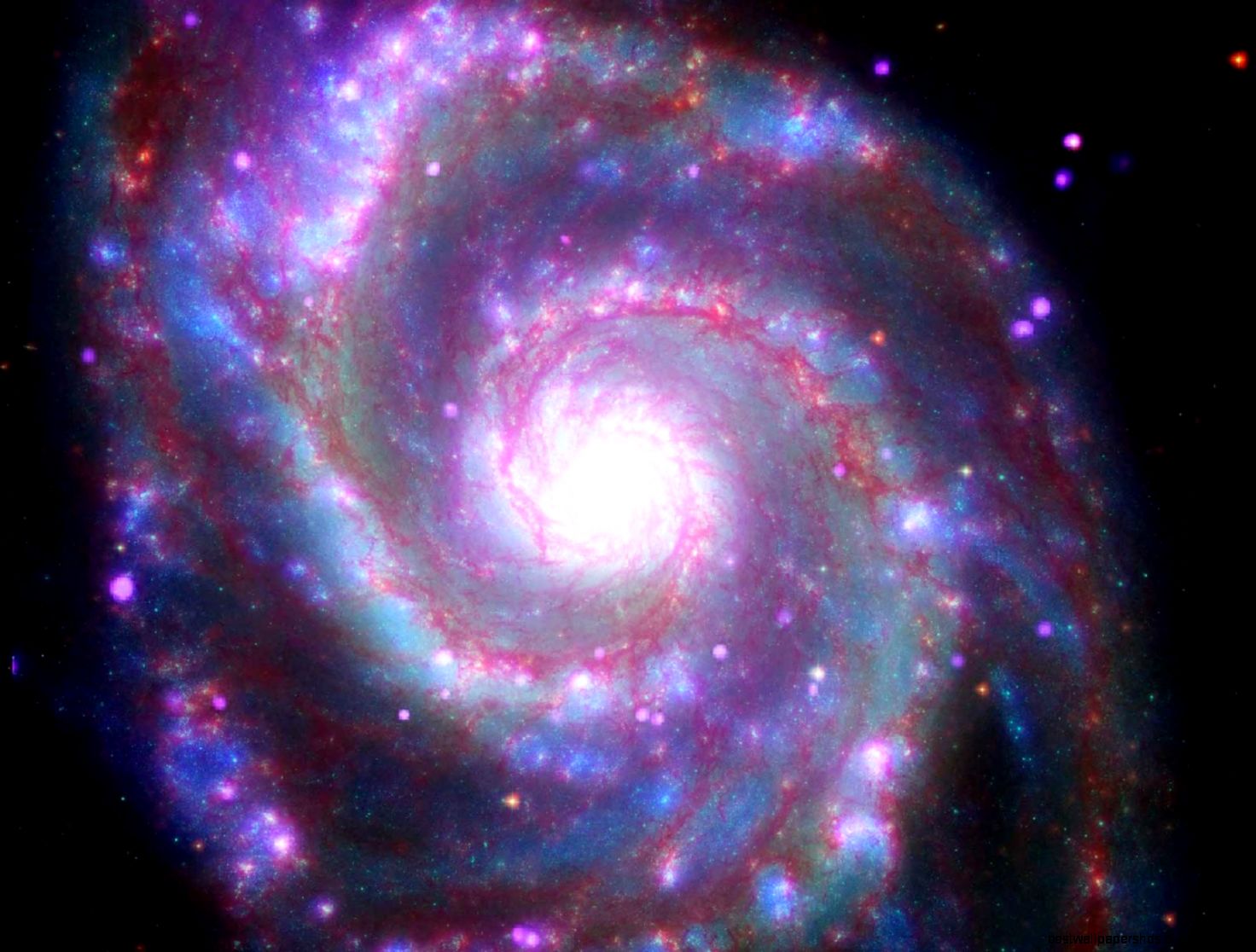 Whirlpool Galaxy Whirlpool Galaxy