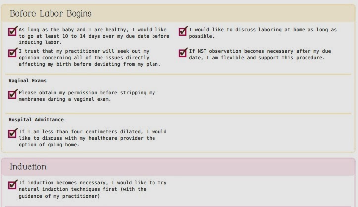 iugr and beyond high risk premature birthplan earthmamaangelbaby com birth plan