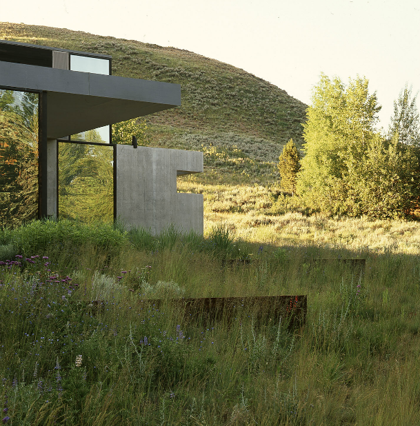 ARAÑAZOS EN EL CIELO: Paisajismo a favor del paisaje