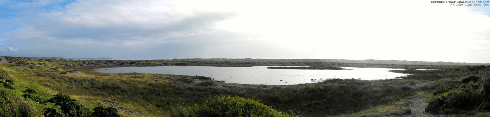 DSCF3231.jpg