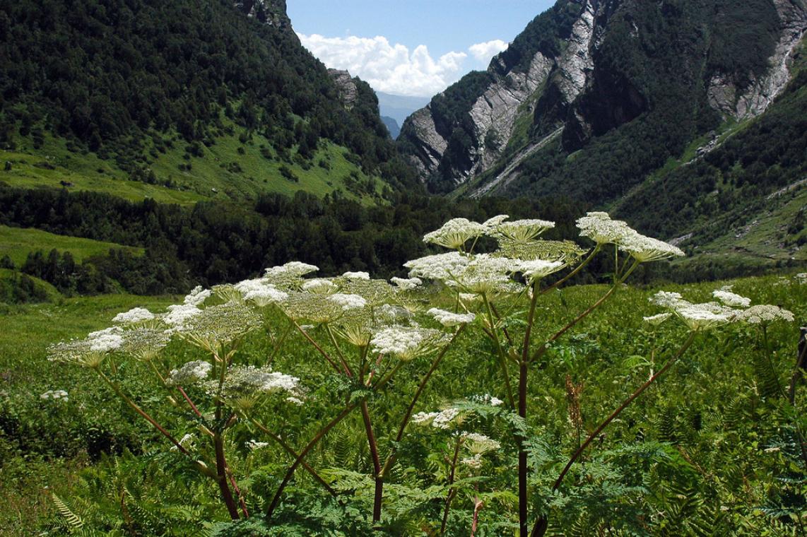 ... Places: Val...