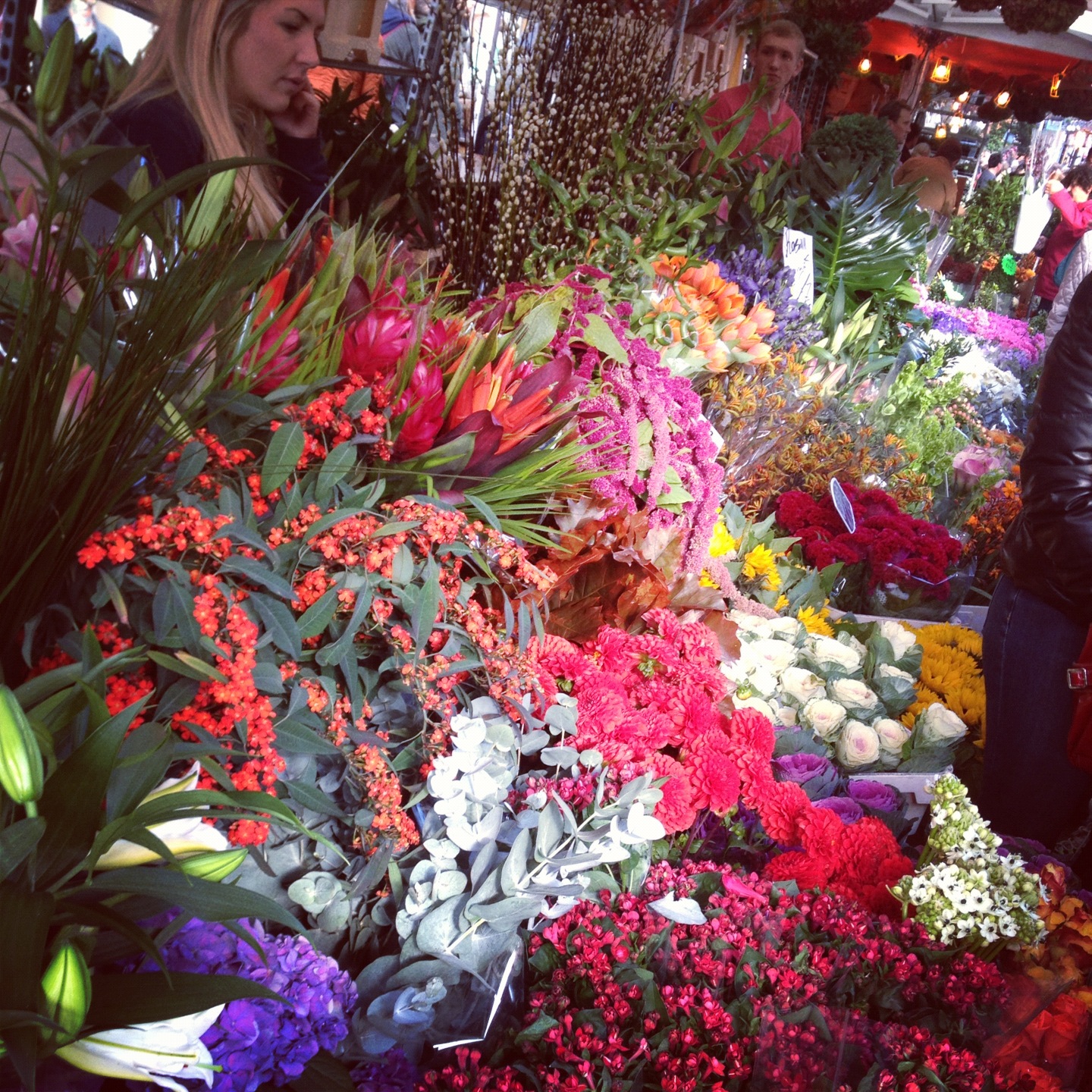 notinabox ill bring you flowers in the pouring rain.