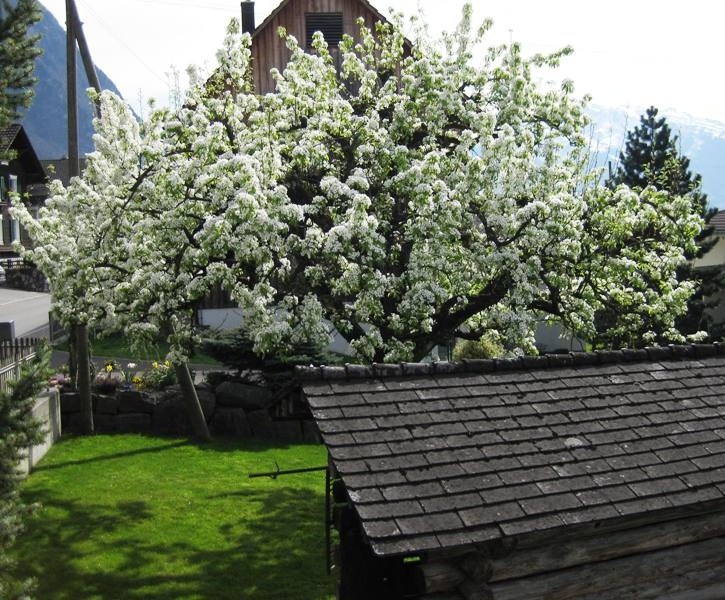 Strickmagie: April 2011