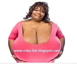 Fakta menarik seputar bra Fakta menarik seputar bra