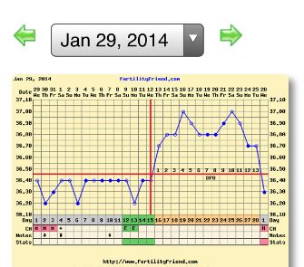 Sample Bbt Charts Showing Pregnancy