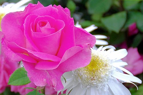 Lirik Lagu Rohani Kristen Top Christian Song Lyrics Lirik Lagu Natal Little Drummer Boy Tobymac