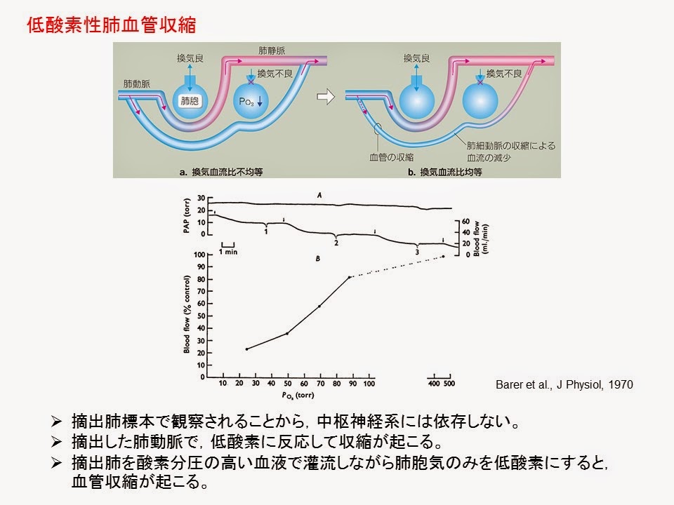 日々是好日～ゆっくりゆっくり生理学～ 11月 2014
