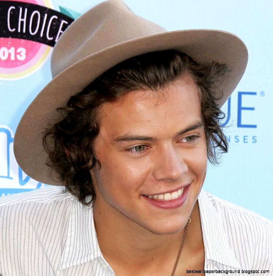 Harry Styles Picture 84 Wax Figures of One Direction Revealed Harry Styles Picture 84 Wax Figures of One Direction Revealed