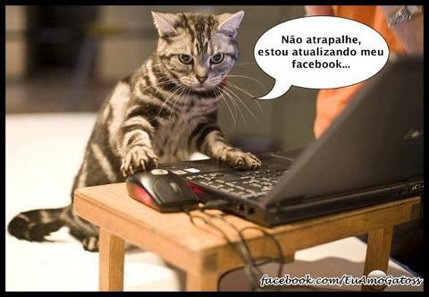 facebook-imagens-engra%C3%A7adas+(2).jpg