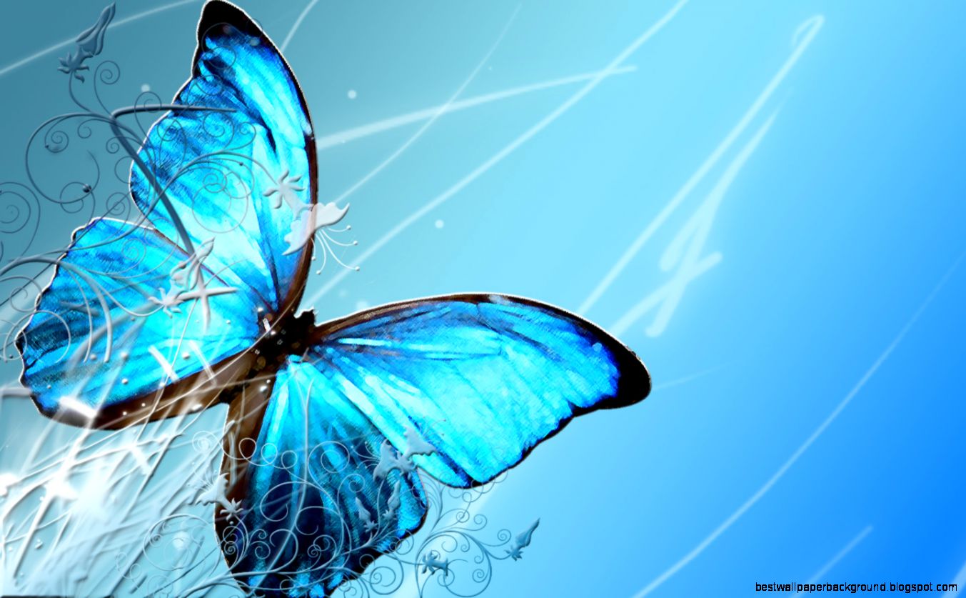 Beautiful Butterfly HD Wallpaper 2 For Desktop Background Beautiful Butterfly HD Wallpaper 2 For Desktop Background