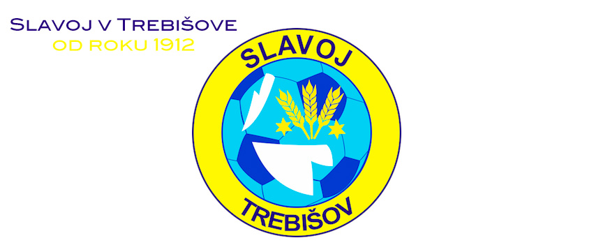 slavojtrebishow@gmail.com