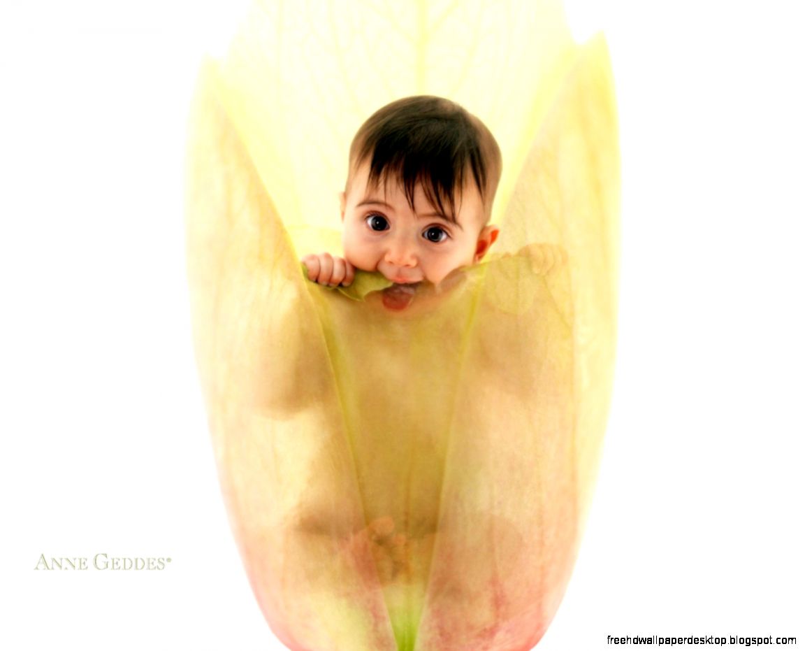 Anne Geddes Cute Baby Wallpapers HD Wallpapers Anne Geddes Cute Baby Wallpapers HD Wallpapers