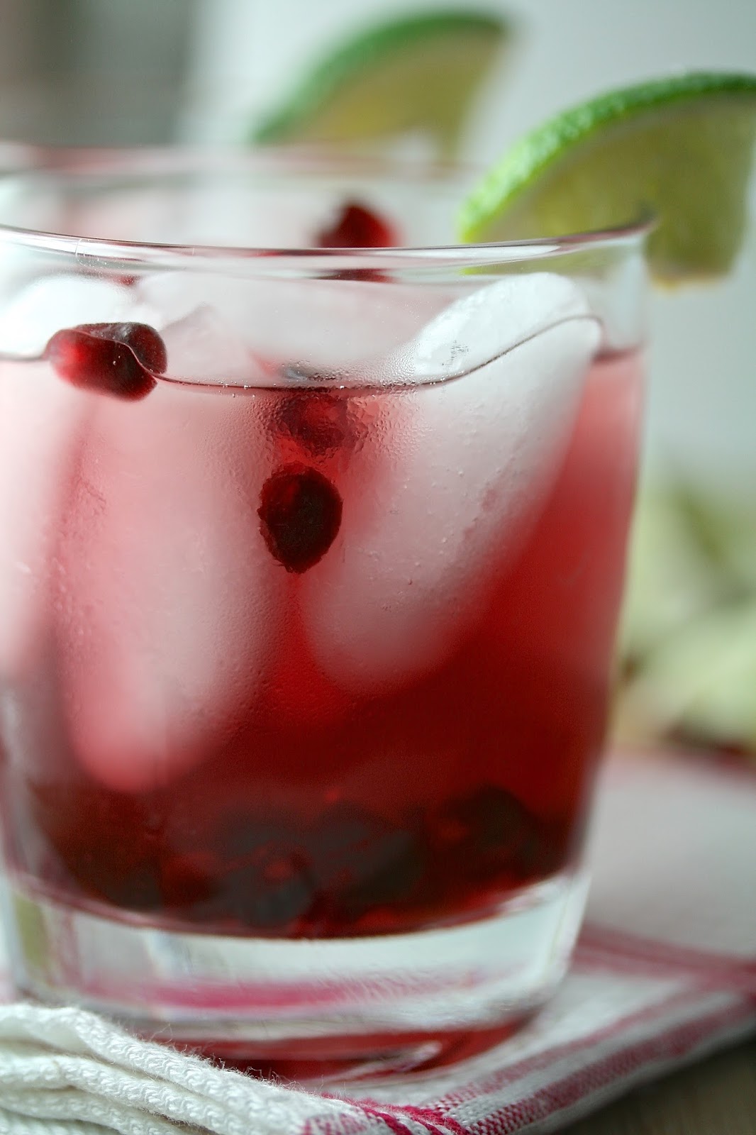 Oregon Transplant Pomegranate Lime Cosmos