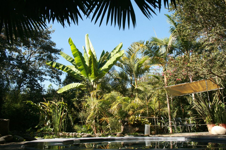 contacto al alba jardin hotel