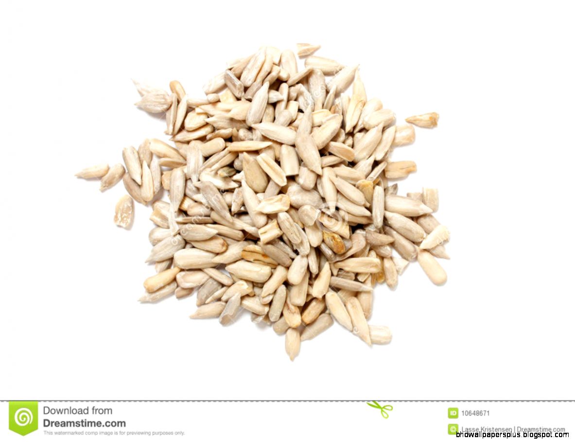 Sun flower Seeds Stock Photography Image 10648672 Sun flower Seeds Stock Photography Image 10648672