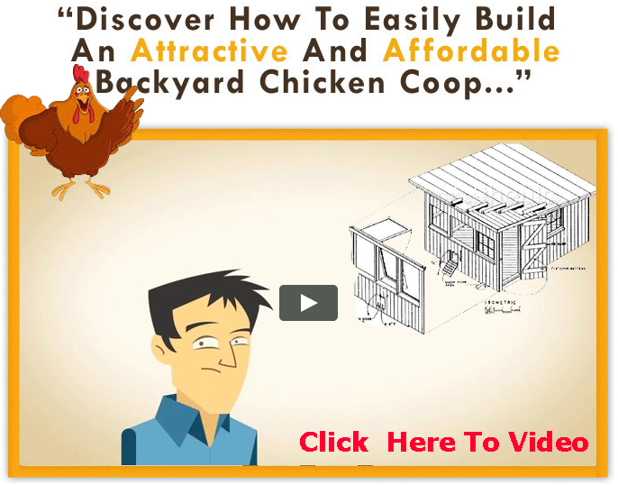 How to Build a Chicken Coop Building a Chicken Coops