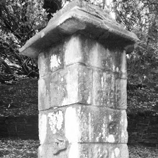 gatepost in Witton Wood