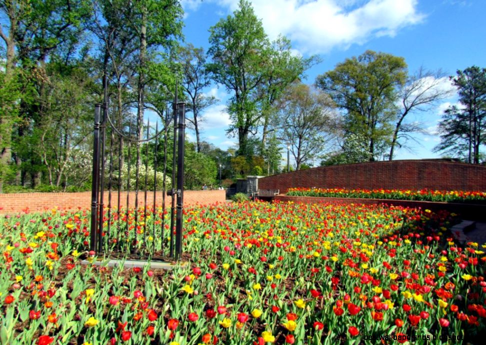 The Wonderful Atlanta Botanical Garden The Wonderful Atlanta Botanical Garden