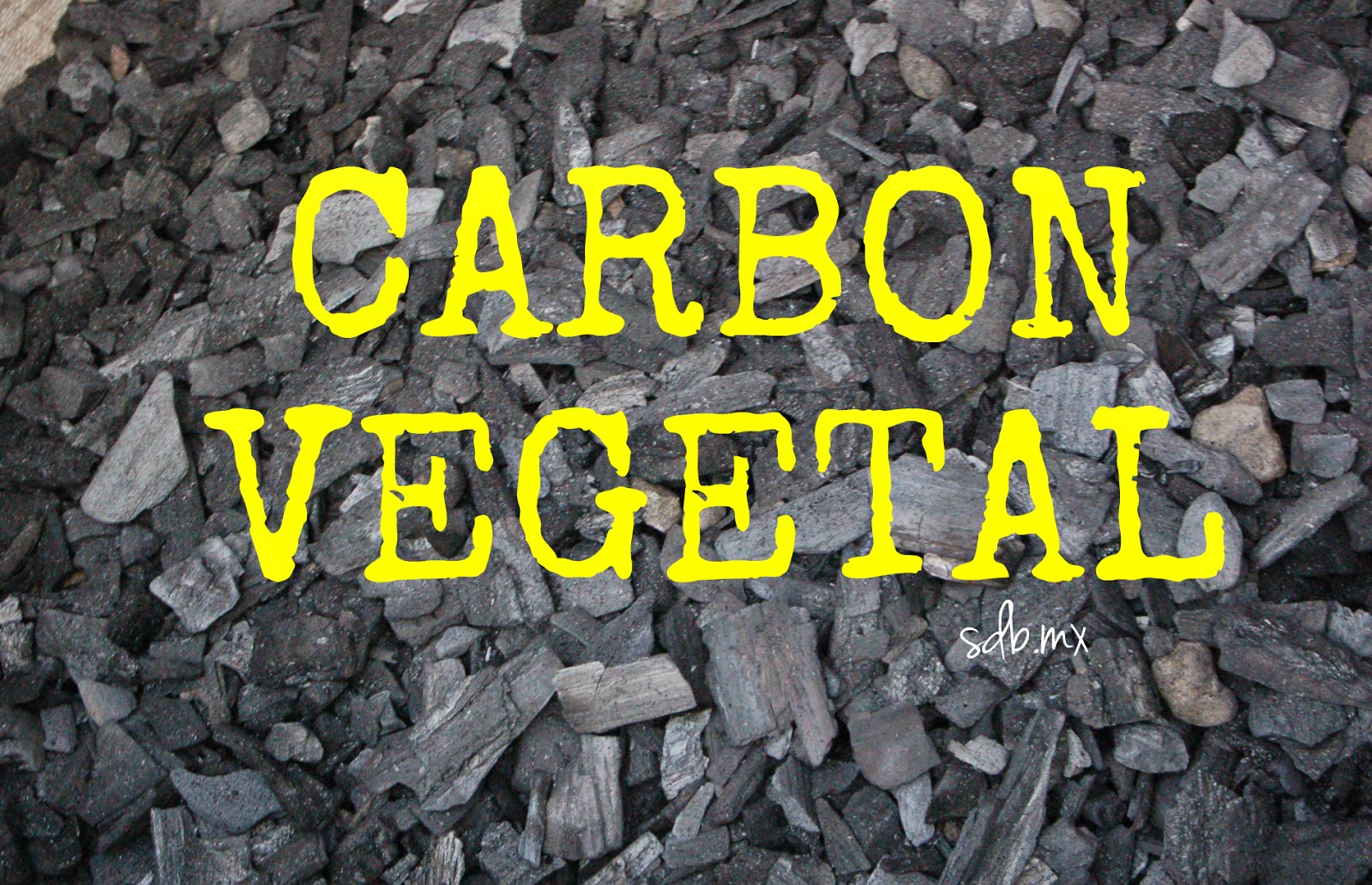 Dr. Christian Cornejo CHARCOAL Carbón Vegetal