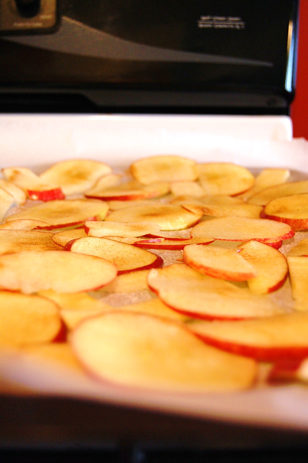 Mommy Monologue DIY WednesdayDried Apple Chips