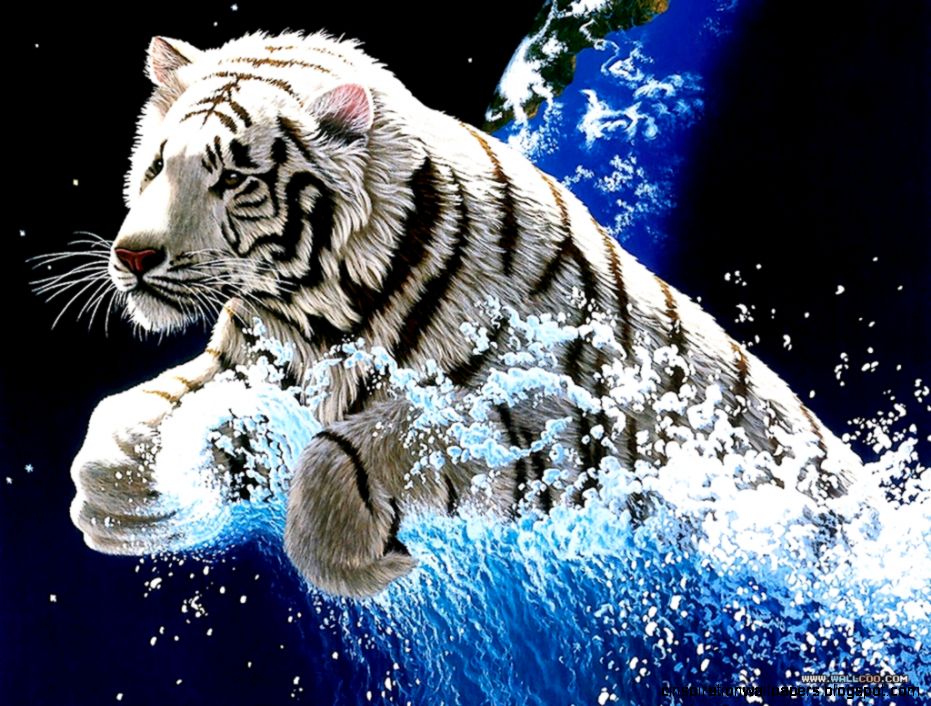 Animated Backgrounds For Free White Tiger photos of Obtaining Animated Backgrounds For Free White Tiger photos of Obtaining