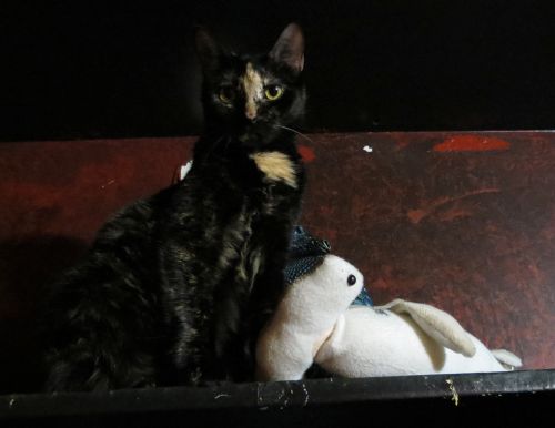 Yes, here's my obligatory photo...