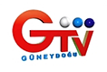 Güneydoğu TV